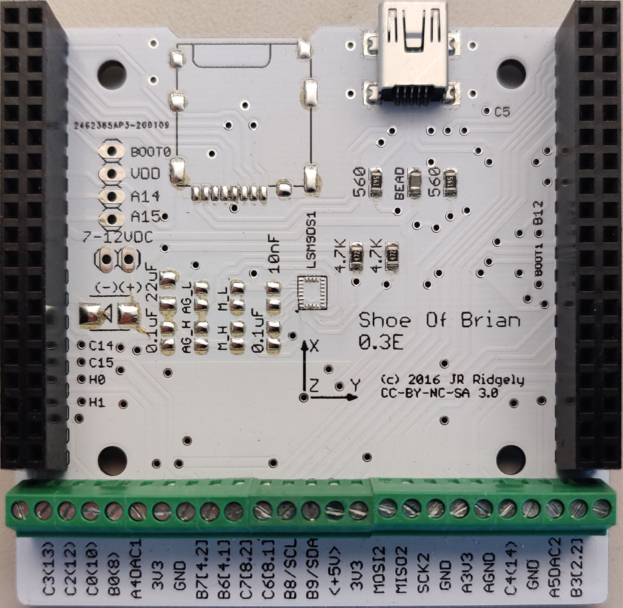 Shoe of Brian interface board